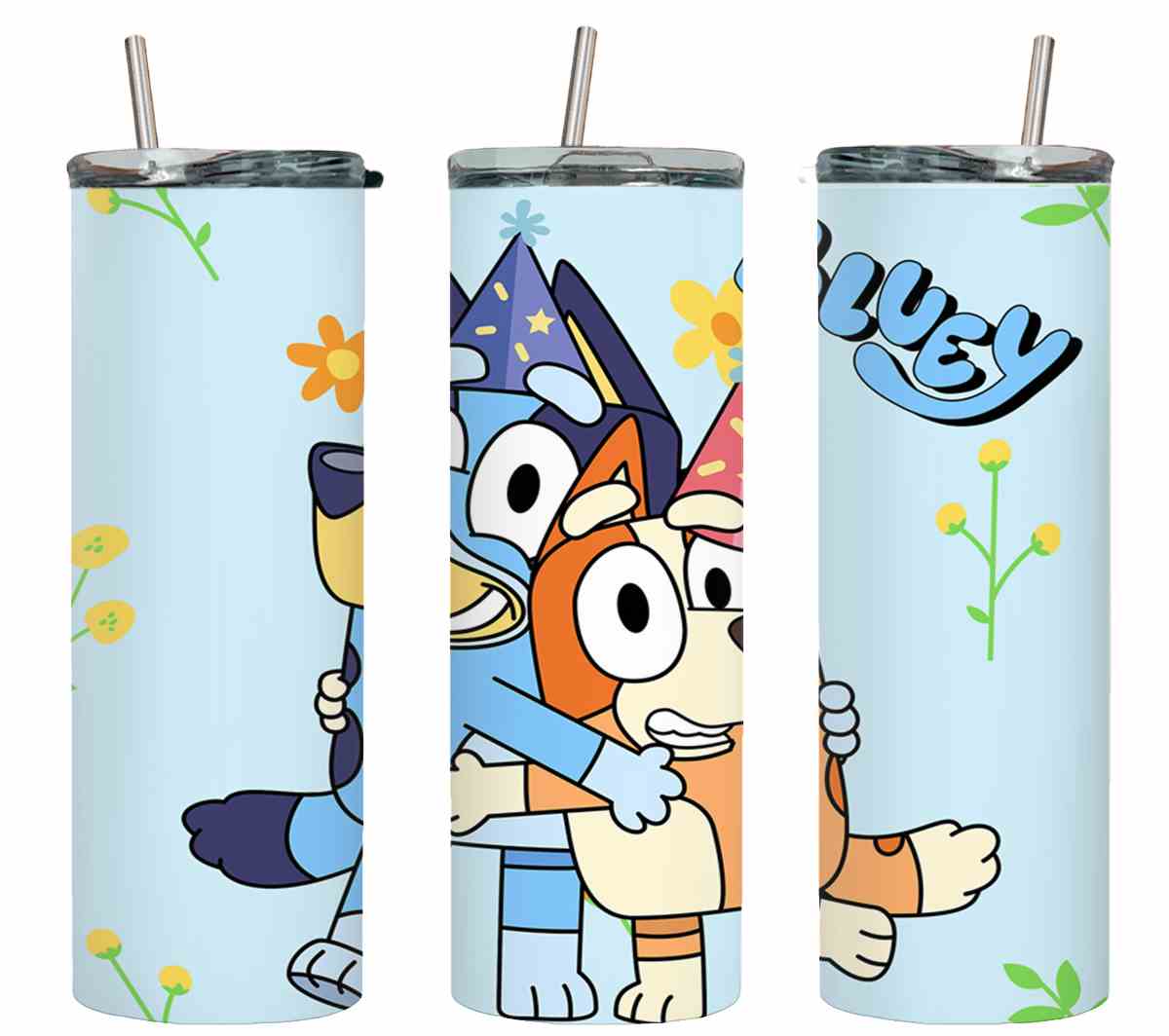 Bluey-8651